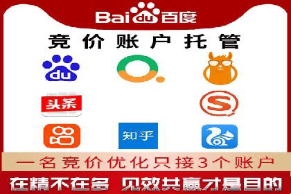 大型企业SEM外包实战案例